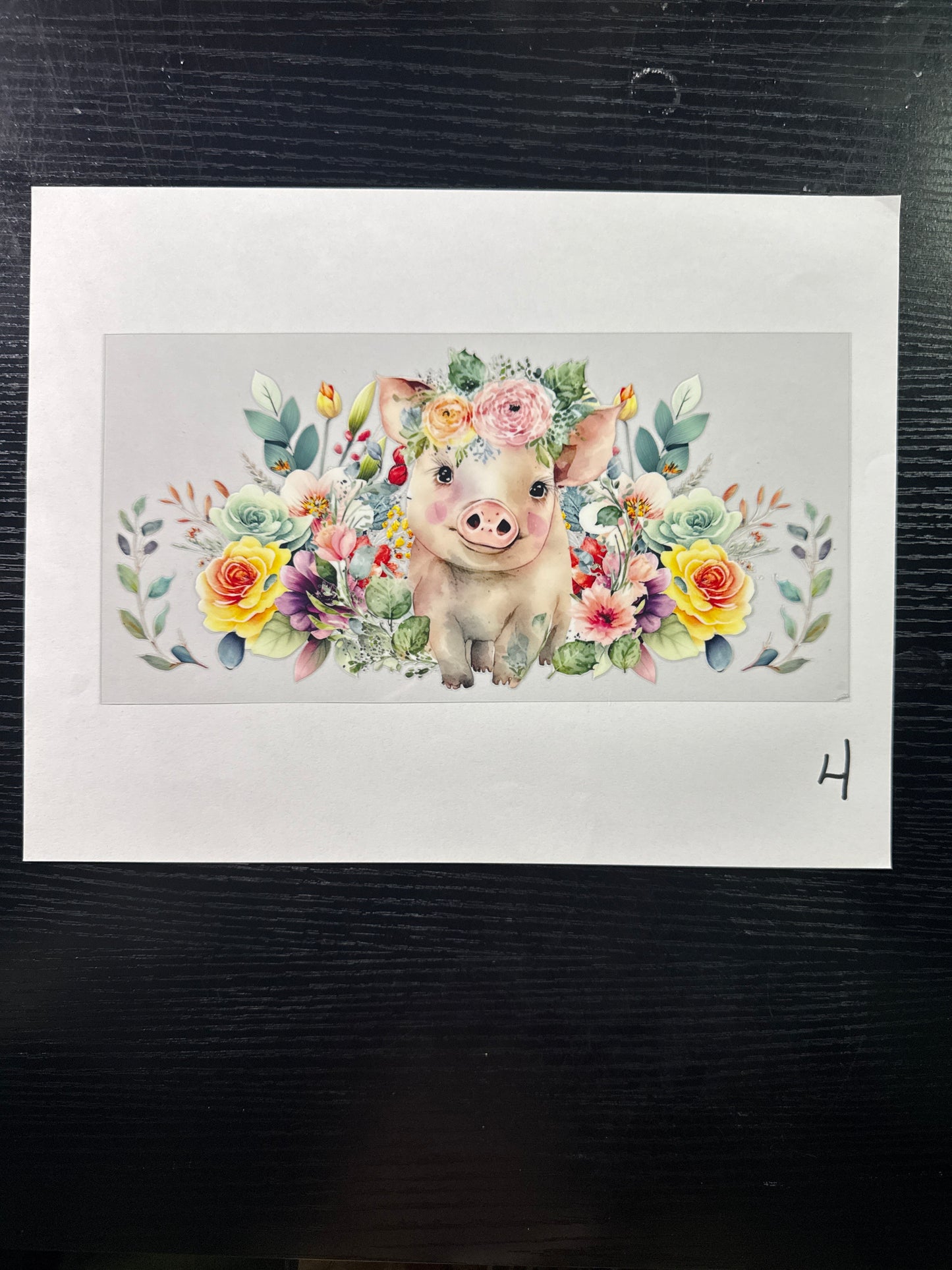 Animals