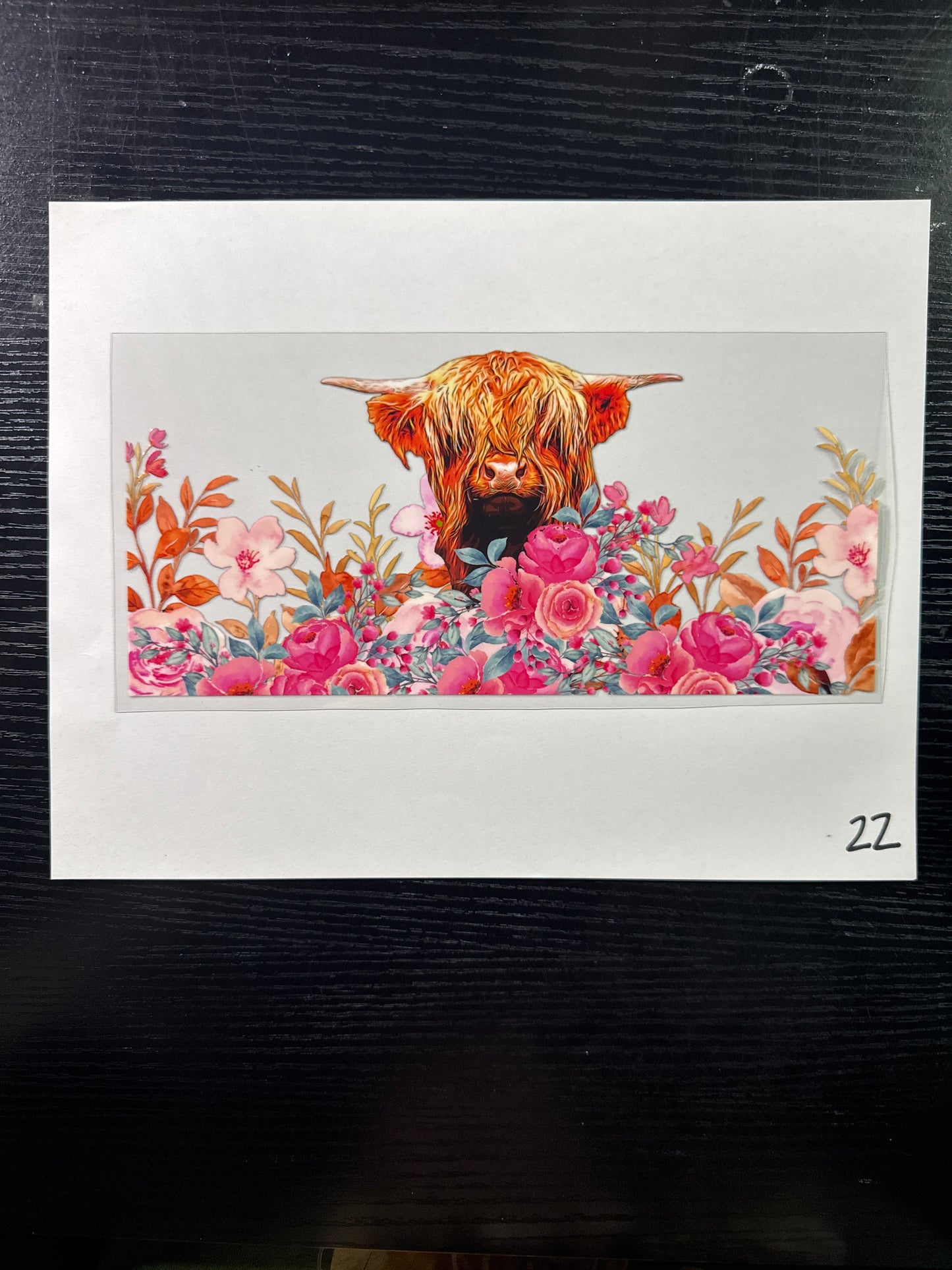 Cows