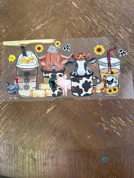 36 cows