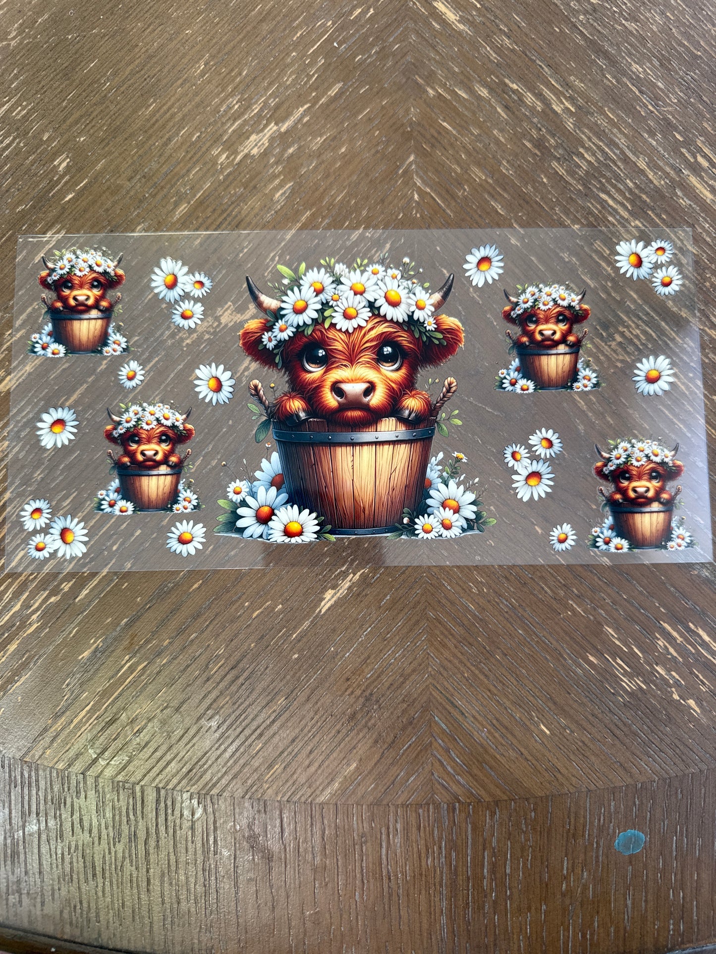42 cows