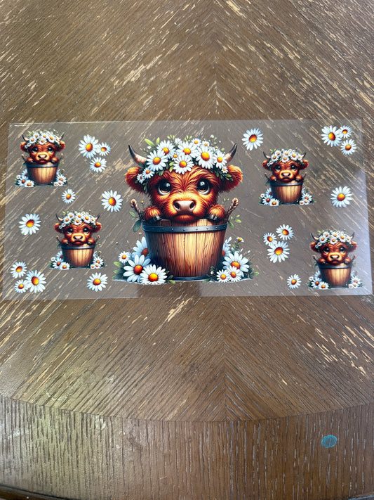 42 cows