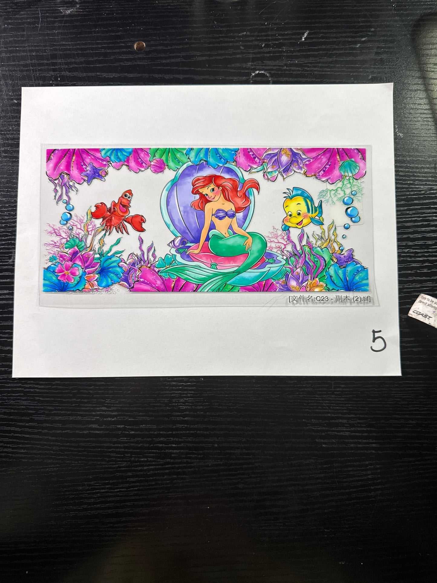 Disney Princesses