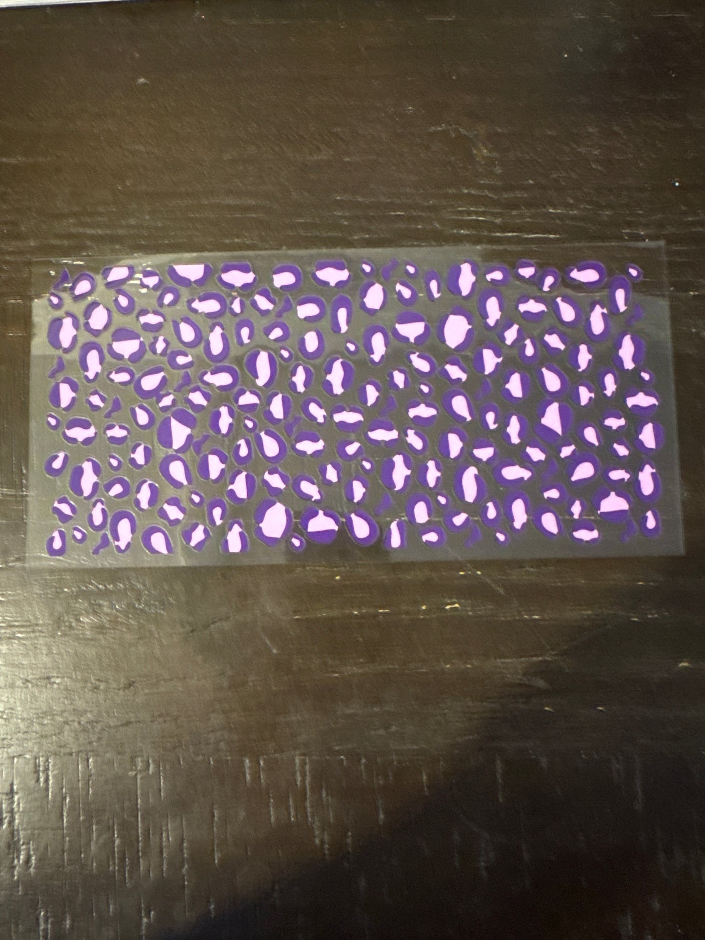 234 cheetah