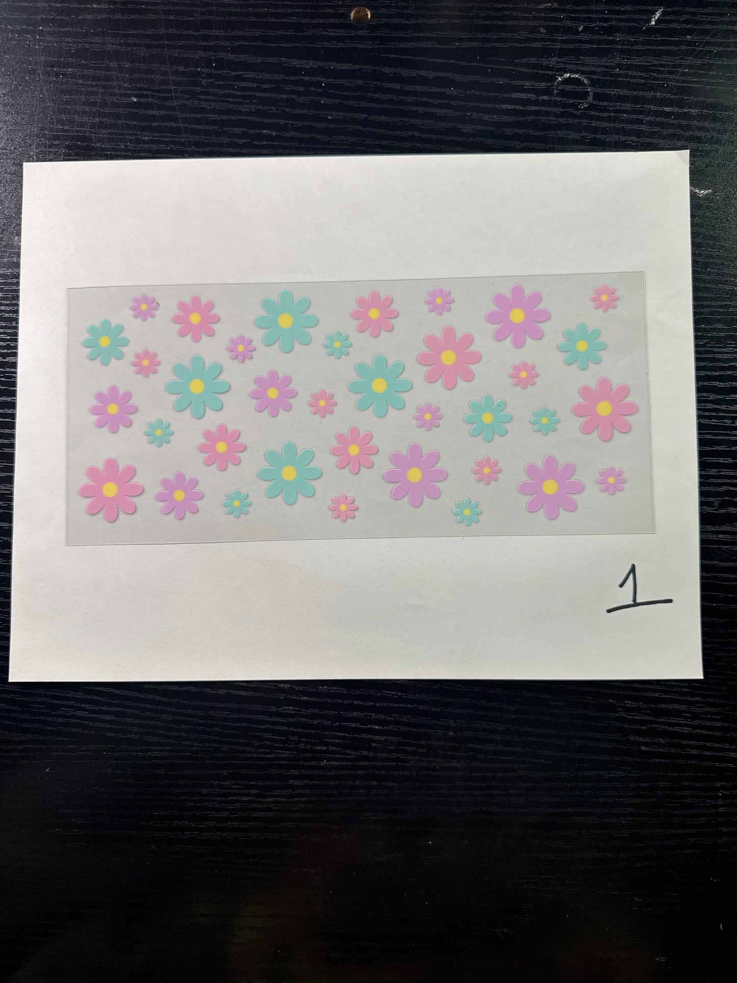 Flowers and bugs
