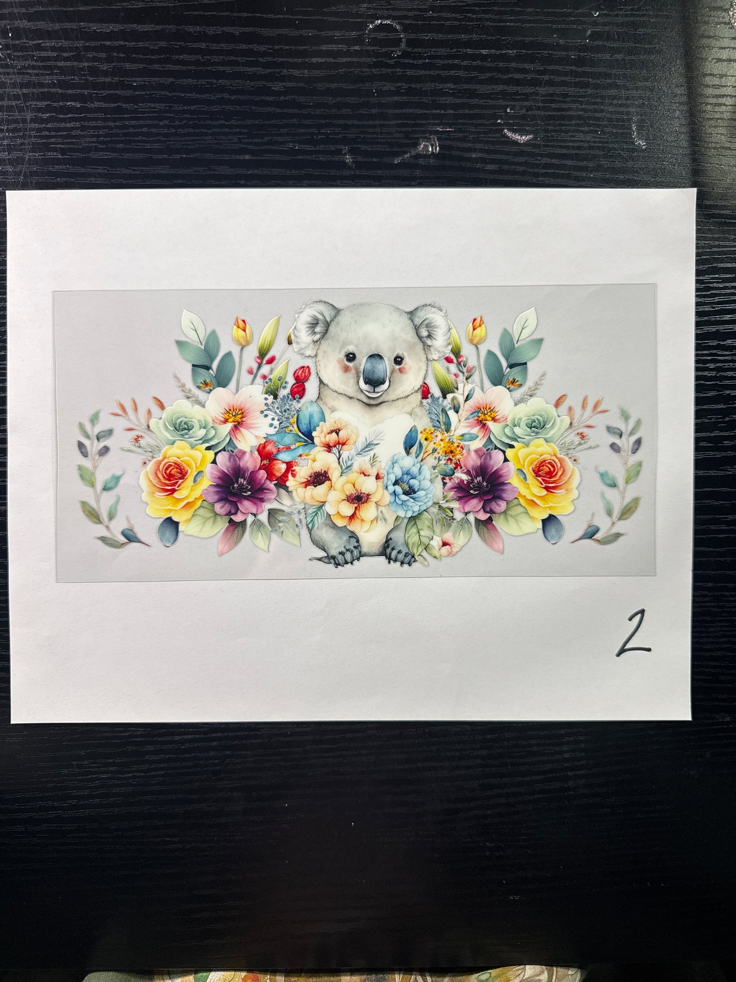 Animals