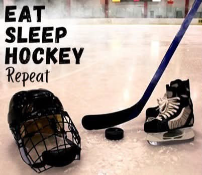 81 hockey