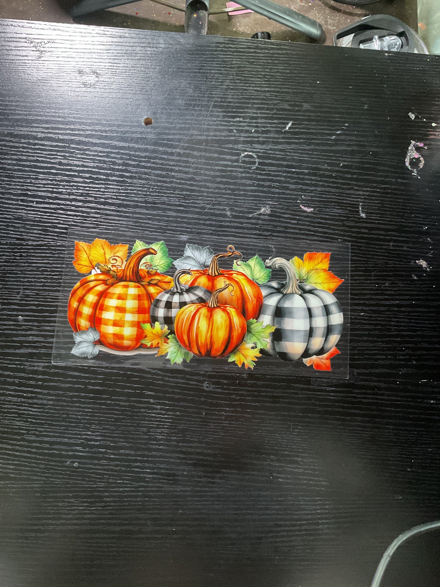 449 Fall, pumpkins